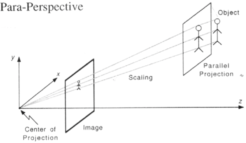 parallel perspective